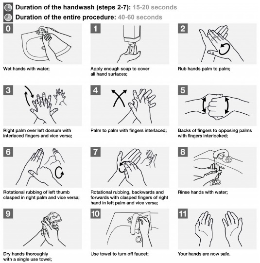Hand
                  Washing